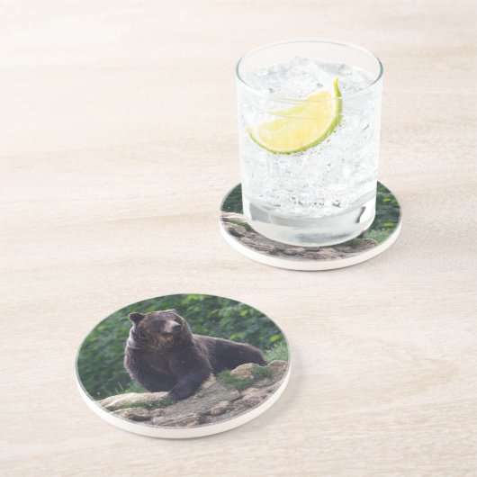 ヒグマ コースター (側面)