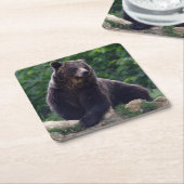 ヒグマ スクエアペーパーコースター (アングル)