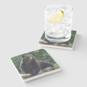 ヒグマ ストーンコースター (横)