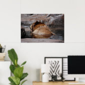 ヒグマ ポスター (ホームオフィス)