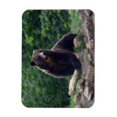 ヒグマ マグネット (縦)