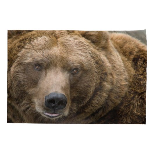 ヒグマ 枕カバー (裏面)