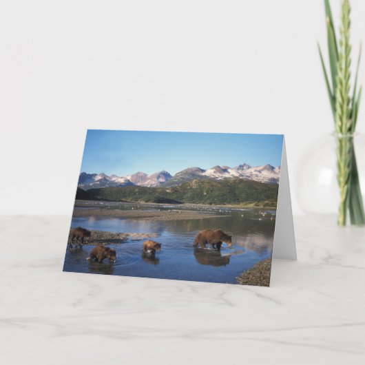 ヒグマ、灰色グマ、雌豚および幼いこども カード (正面)