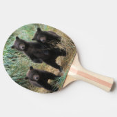 ヒグマ、Ursusのarctos、灰色グマ、Ursus 7 2 卓球ラケット (横)