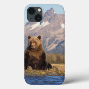 ヒグマ、Ursusのarctos、灰色グマ、Ursus iPhone 13ケース