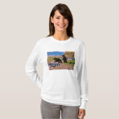 ヒグマ, Ursus arctos, アラスカ半島, Tシャツ (正面フル)