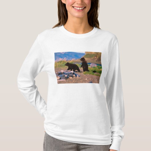 ヒグマ, Ursus arctos, アラスカ半島, Tシャツ (正面)