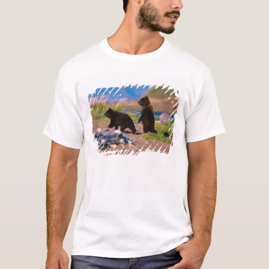 ヒグマ, Ursus arctos, アラスカ半島, Tシャツ (正面)
