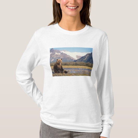 ヒグマ, Ursus arctos, グリズリー Tシャツ (正面)