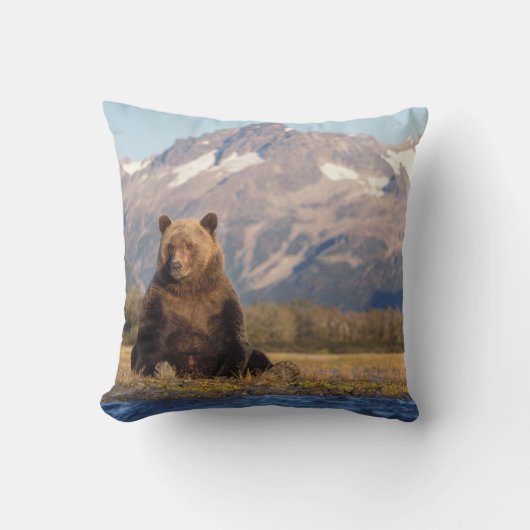 ヒグマ, Ursus arctos, グリズリー, Ursus クッション (正面)