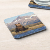 ヒグマ, Ursus arctos, グリズリー, Ursus コースター (左側)