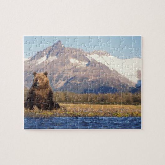 ヒグマ, Ursus arctos, グリズリー, Ursus ジグソーパズル (横)