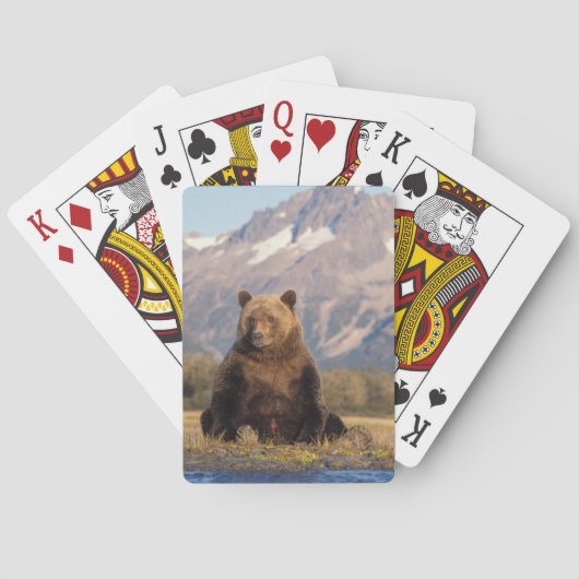 ヒグマ, Ursus arctos, グリズリー, Ursus トランプ (裏面)