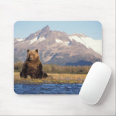 ヒグマ, Ursus arctos, グリズリー, Ursus マウスパッド (マウス)