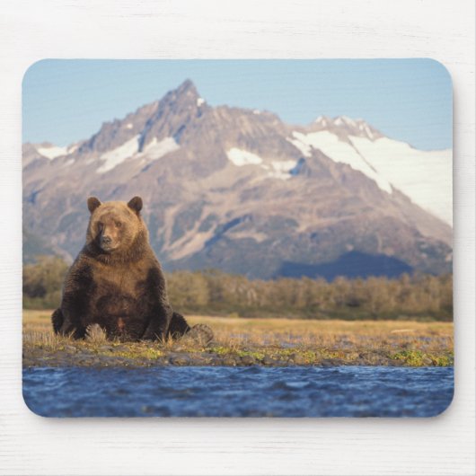 ヒグマ, Ursus arctos, グリズリー, Ursus マウスパッド (正面)