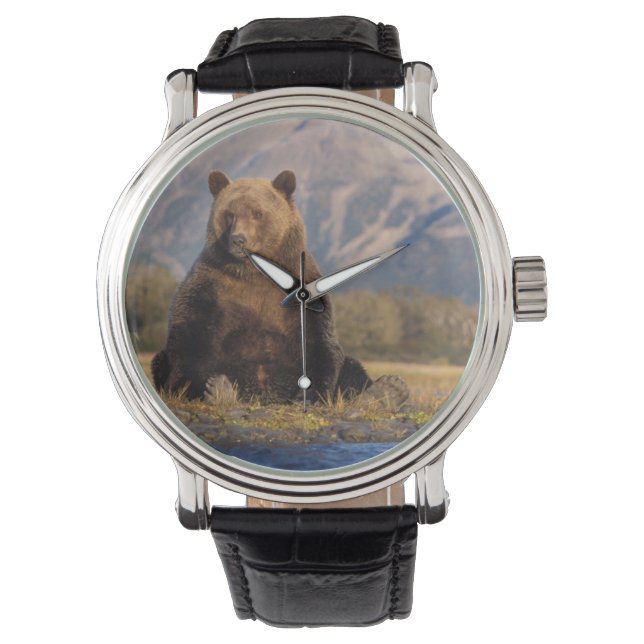 ヒグマ, Ursus arctos, グリズリー, Ursus 腕時計 (正面)