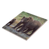 ヒグマ, Ursus arctos, グリズリー, Ursus 3 タイル (側面)