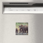 ヒグマ, Ursus arctos, グリズリー, Ursus 3 マグネット (インサイチュ (食洗機))