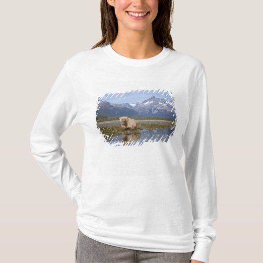 ヒグマ, Ursus arctos, グリズリー, Ursus 4 Tシャツ (正面)