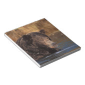 ヒグマ, Ursus arctos, グリズリー, Ursus 5 ノートパッド (アングル)