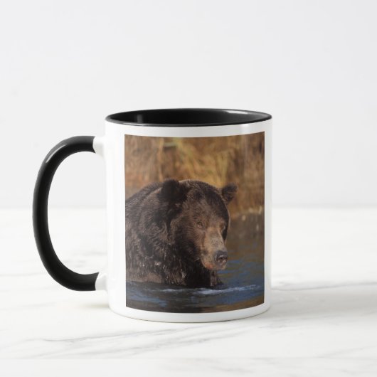 ヒグマ, Ursus arctos, グリズリー, Ursus 5 マグカップ (左)