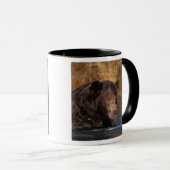 ヒグマ, Ursus arctos, グリズリー, Ursus 5 マグカップ (正面右)