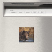 ヒグマ, Ursus arctos, グリズリー, Ursus 5 マグネット (インサイチュ (食洗機))