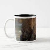 ヒグマ, Ursus arctos, グリズリー, Ursus 6 ツートーンマグカップ (左)