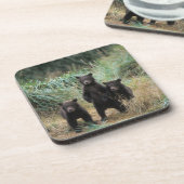 ヒグマ, Ursus arctos, グリズリー, Ursus 7 コースター (左側)