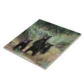 ヒグマ, Ursus arctos, グリズリー, Ursus 7 タイル (側面)
