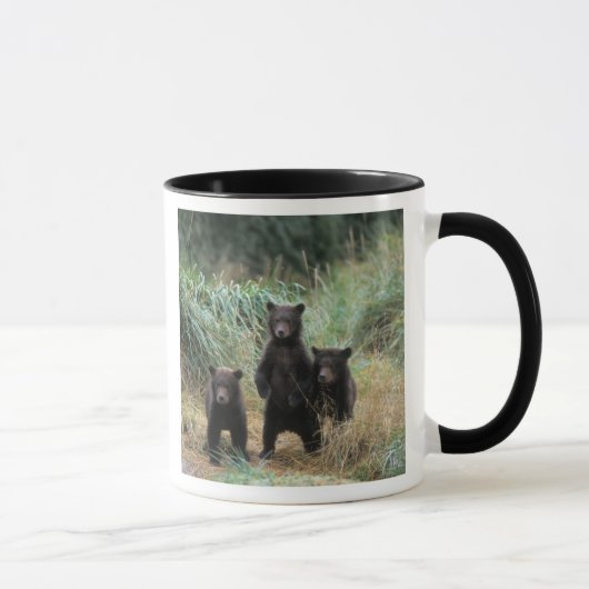 ヒグマ, Ursus arctos, グリズリー, Ursus 7 マグカップ (右)