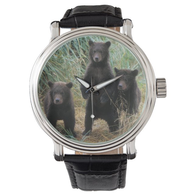 ヒグマ, Ursus arctos, グリズリー, Ursus 7 2 腕時計 (正面)