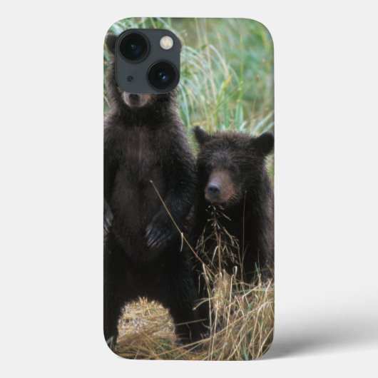 ヒグマ, Ursus arctos, グリズリー, Ursus 7 2 Case-Mate iPhoneケース (裏面)