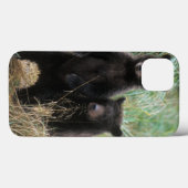 ヒグマ, Ursus arctos, グリズリー, Ursus 7 2 Case-Mate iPhoneケース (裏面 (横))