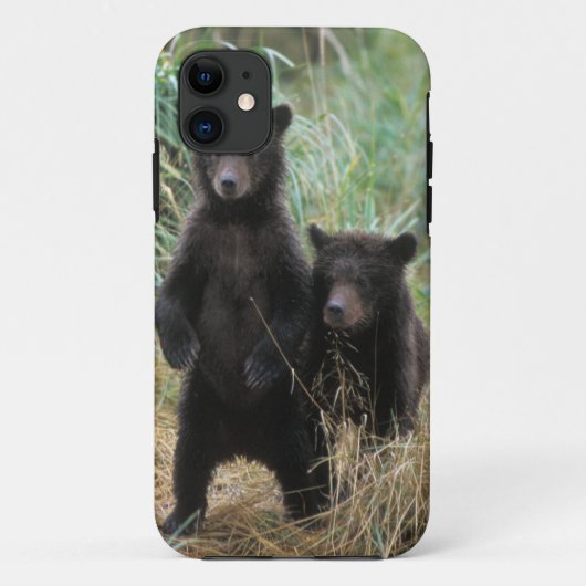 ヒグマ, Ursus arctos, グリズリー, Ursus 7 2 Case-Mate iPhoneケース (裏面)