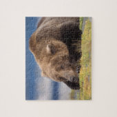 ヒグマ, Ursus arctos, グリズリー, Ursus 8 ジグソーパズル (縦)