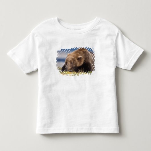 ヒグマ, Ursus arctos, グリズリー, Ursus 8 トドラーTシャツ (正面)