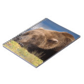 ヒグマ, Ursus arctos, グリズリー, Ursus 8 ノートブック (左側)