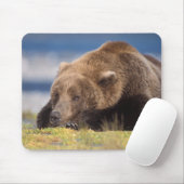ヒグマ, Ursus arctos, グリズリー, Ursus 8 マウスパッド (マウス)