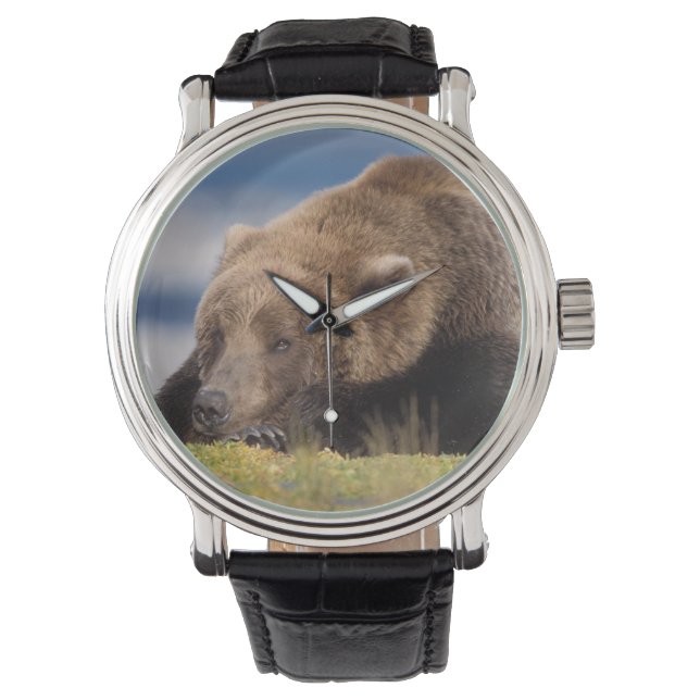ヒグマ, Ursus arctos, グリズリー, Ursus 8 腕時計 (正面)