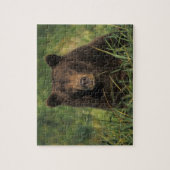 ヒグマ, Ursus arctos, グリズリー, Ursus 9 ジグソーパズル (縦)