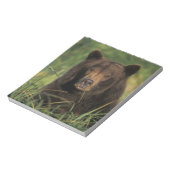 ヒグマ, Ursus arctos, グリズリー, Ursus 9 ノートパッド (回転)