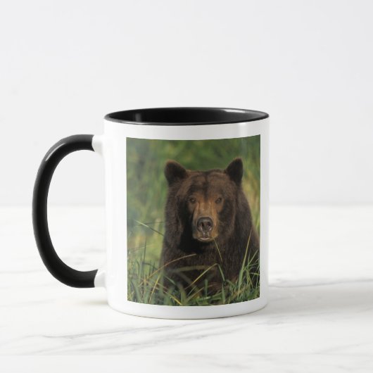 ヒグマ, Ursus arctos, グリズリー, Ursus 9 マグカップ (左)