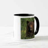 ヒグマ, Ursus arctos, グリズリー, Ursus 9 マグカップ (正面右)