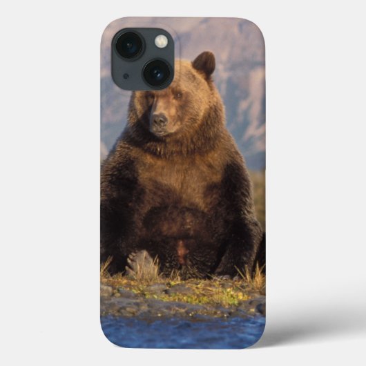 ヒグマ, Ursus arctos, グリズリー, Ursus Case-Mate iPhoneケース (裏面)