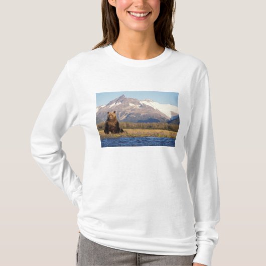 ヒグマ, Ursus arctos, グリズリー, Ursus Tシャツ (正面)