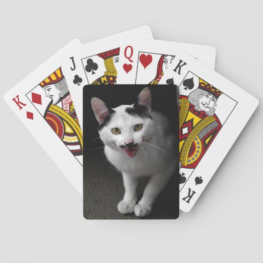 ヒゲのある猫 トランプ (裏面)