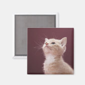 ヒゲの子猫 マグネット (正面/裏面)