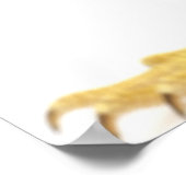 ヒゲ竜（ポゴナビチツプ） ポスター (角)