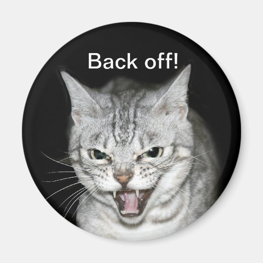 ヒシン猫 マグネット (正面)